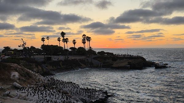 The Marine Room Bar San Diego