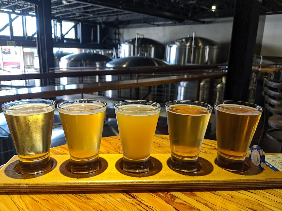 Pints of IPA on a brewery bar
