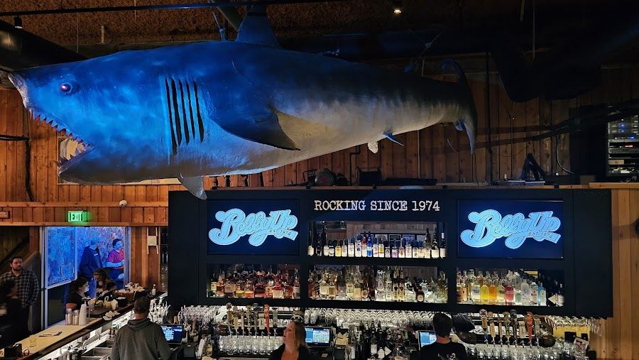 The Belly Up Tavern Solana Beach atmosphere