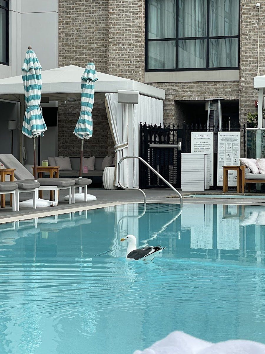 Pool Lounge at Pendry, San Diego