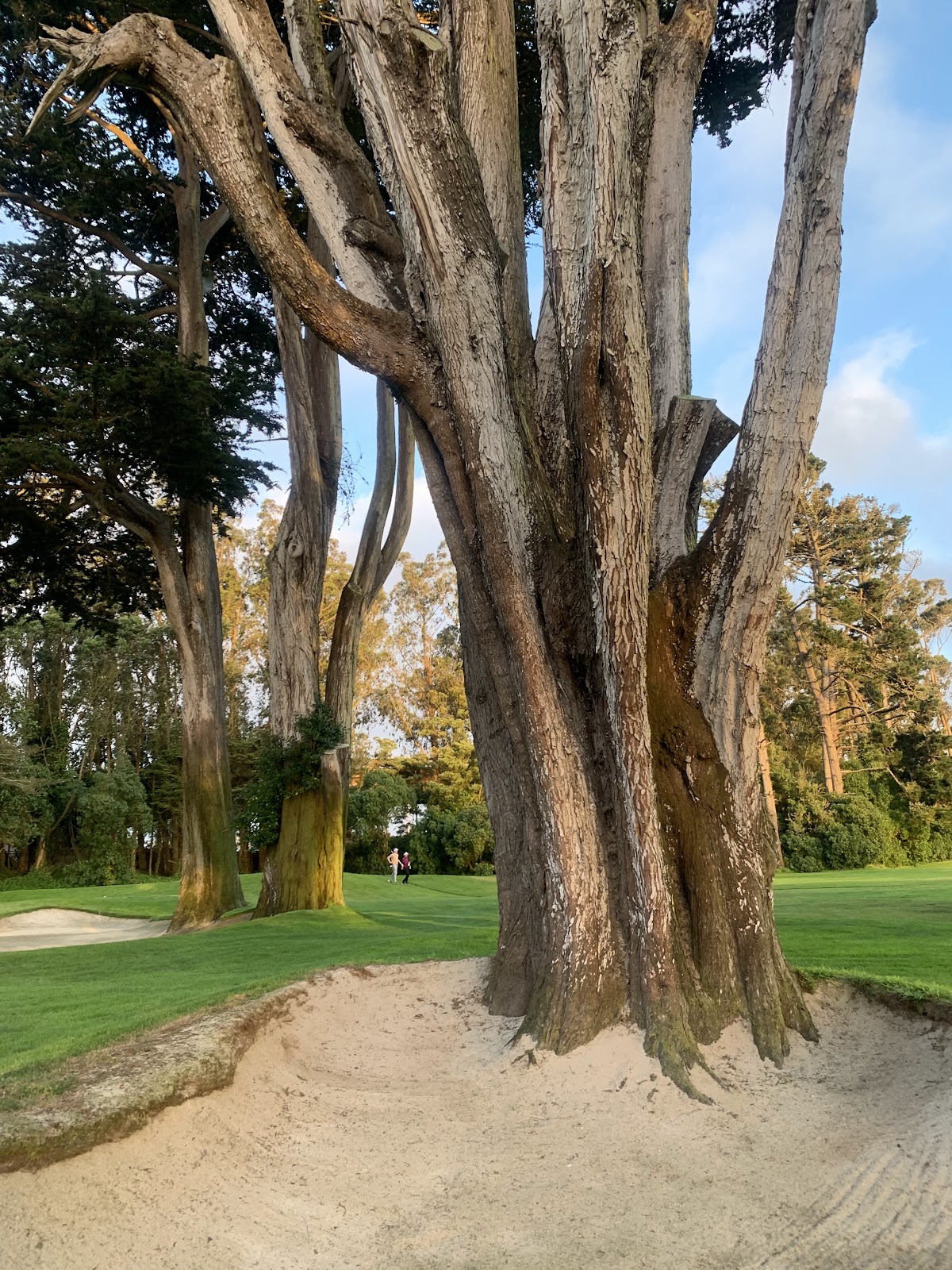 Golf Club 650, San Francisco