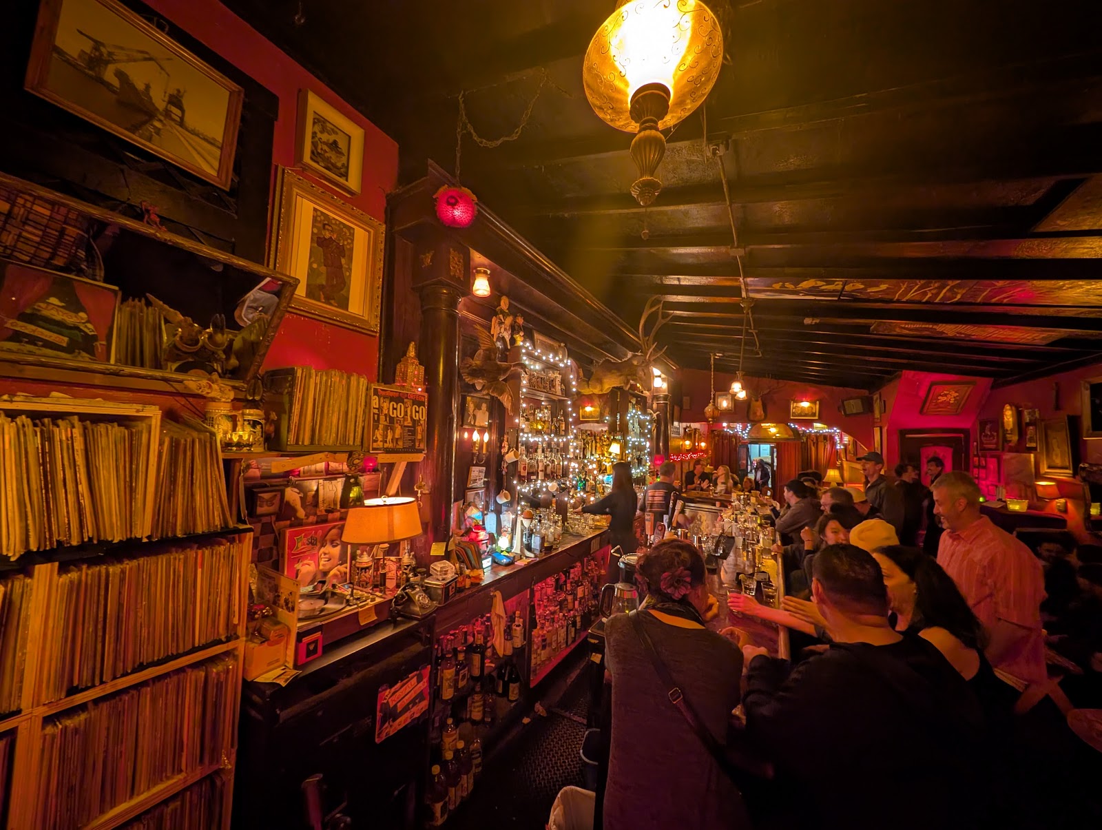 Royal Cuckoo, San Francisco