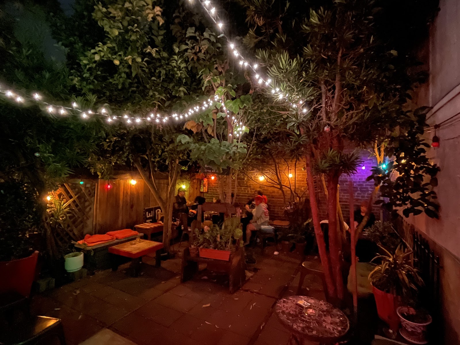 Royal Cuckoo, San Francisco