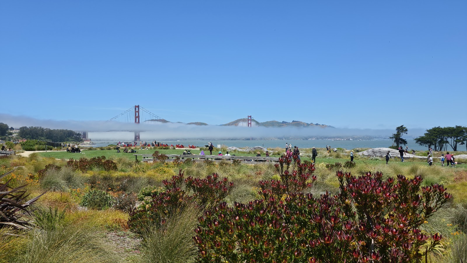 The Tunnel Top, San Francisco