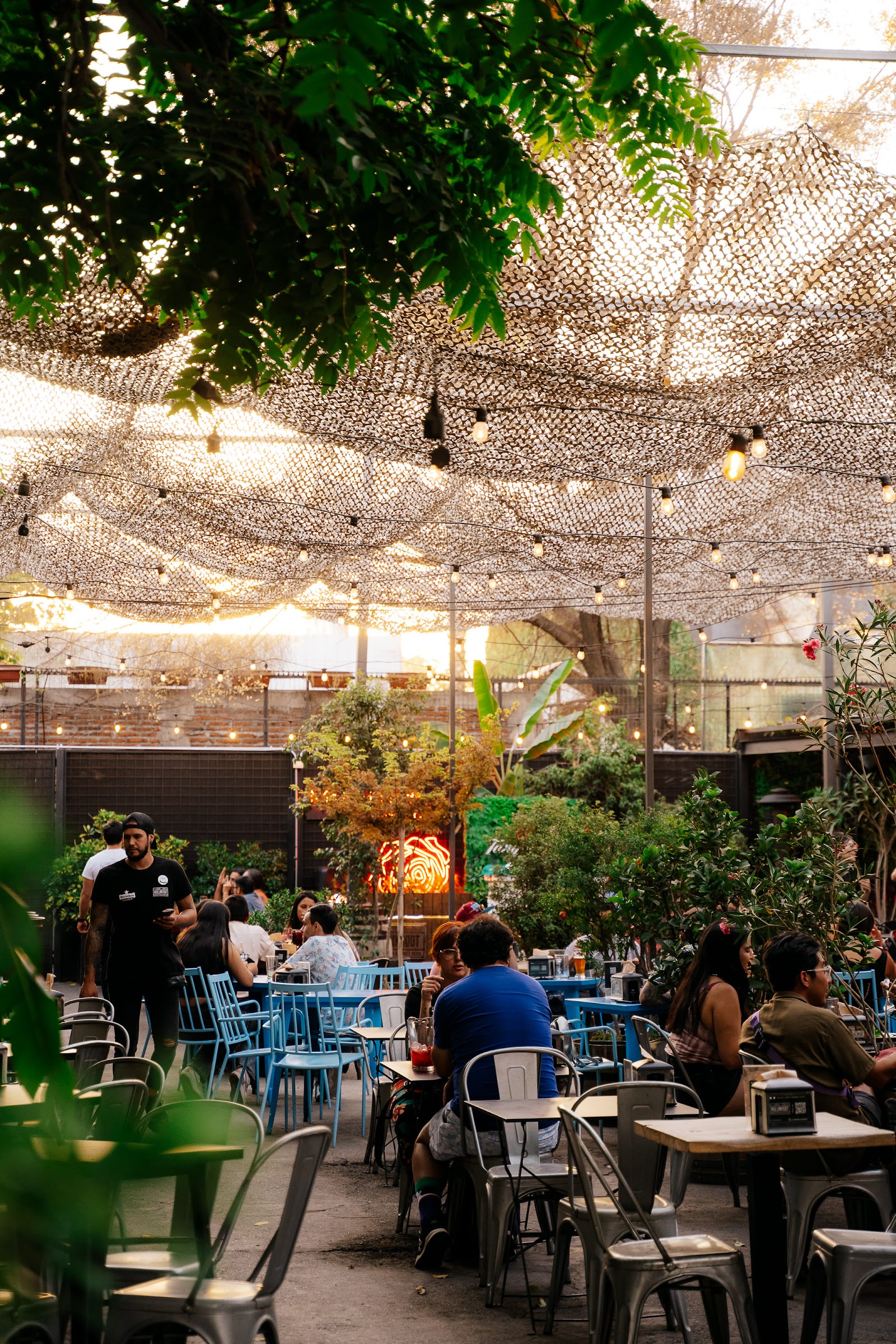 Jardín Mallinkrodt, Santiago