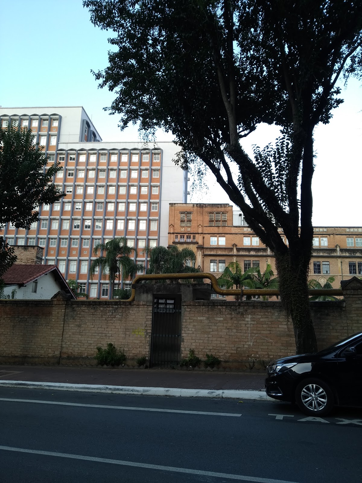 Veridiana, Sao Paulo