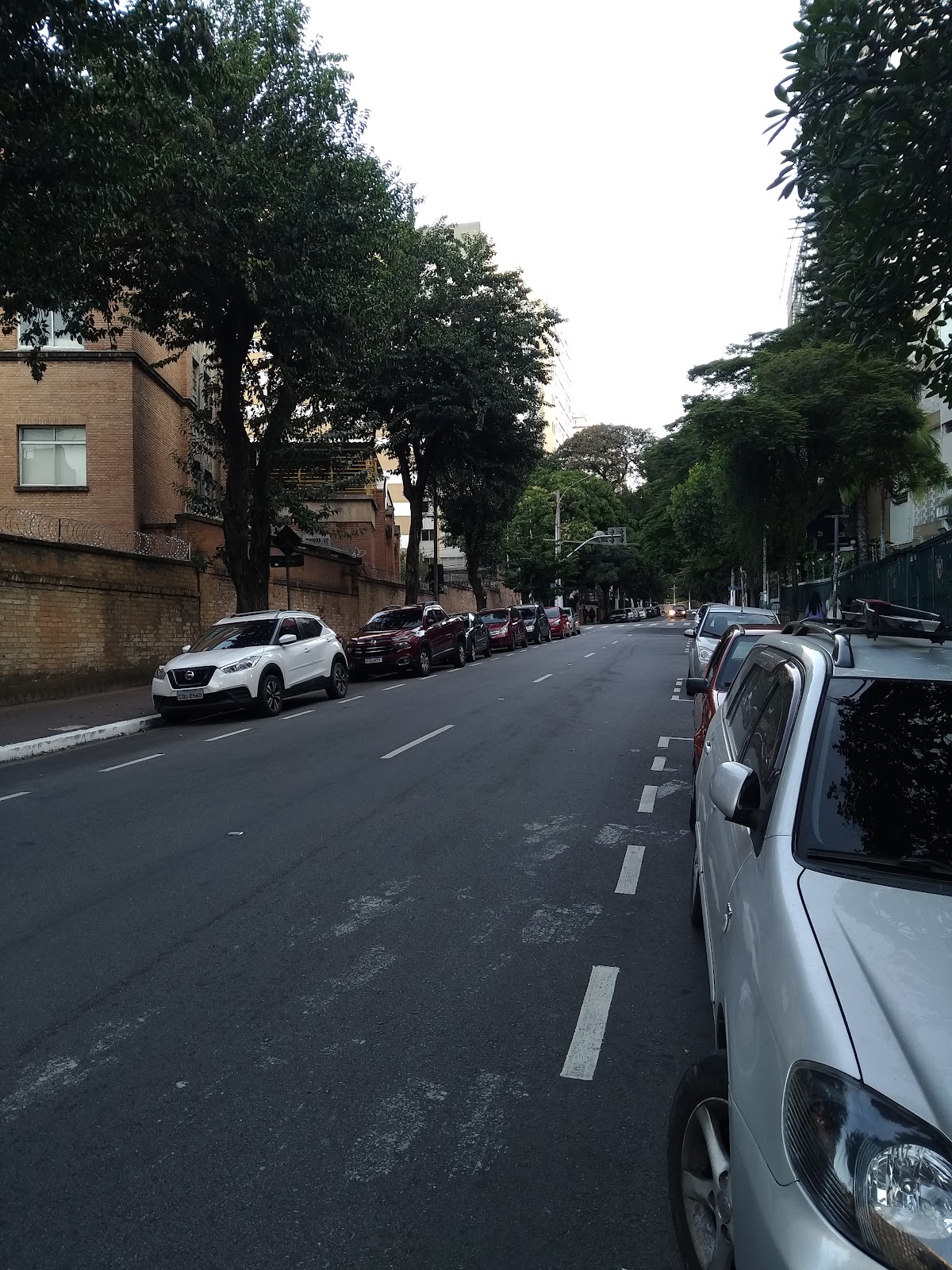 Veridiana, Sao Paulo