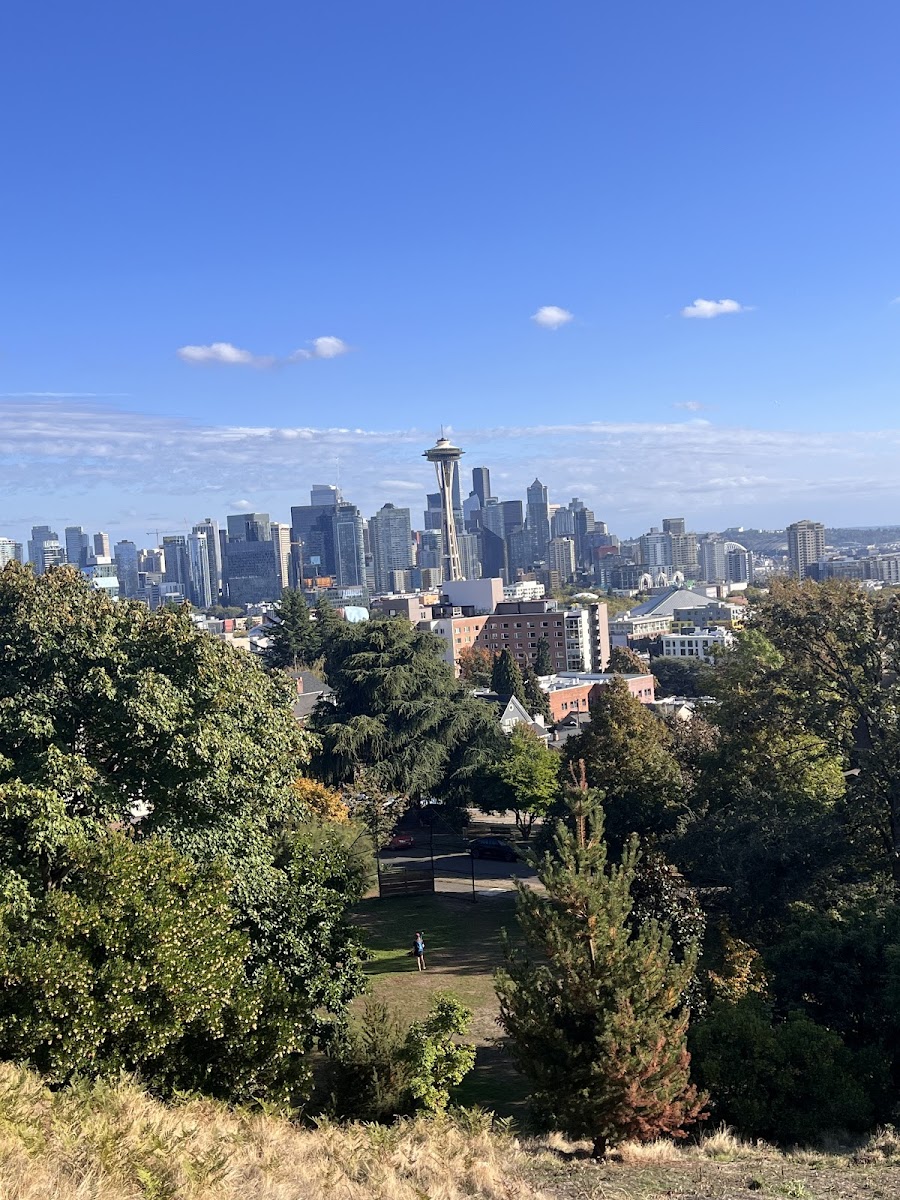 Mockingbird Hill, Seattle