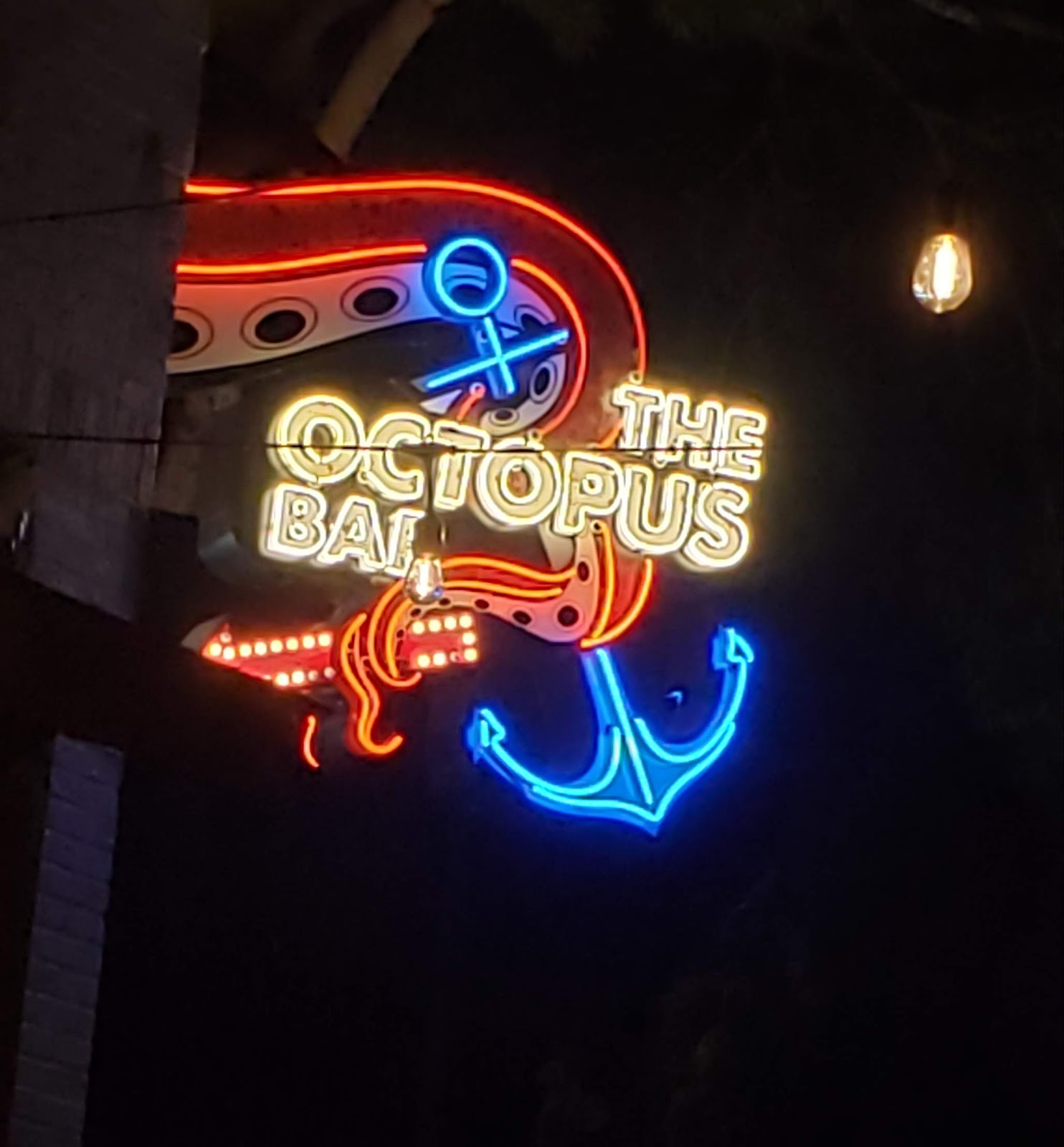 The Octopus Bar, Seattle