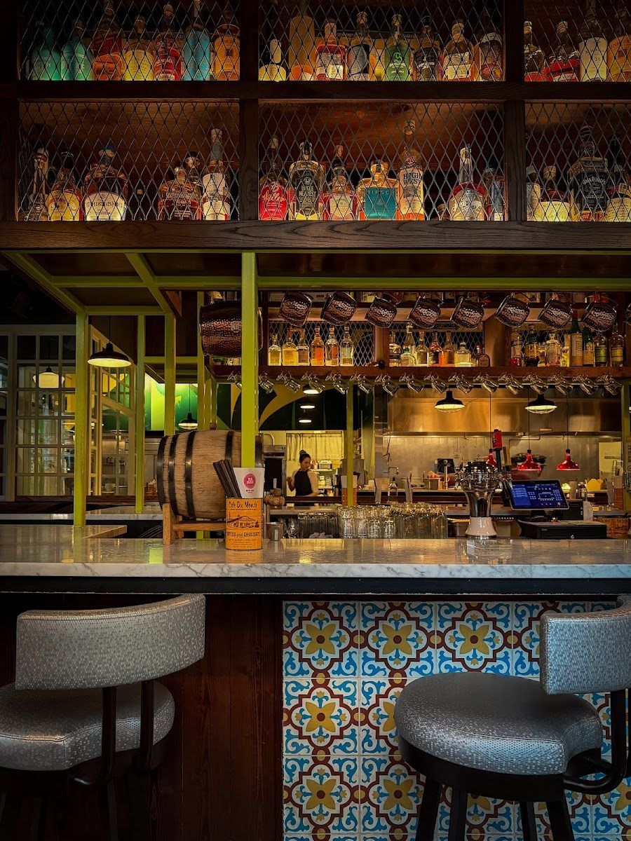 Shanik Bar Seattle interior
