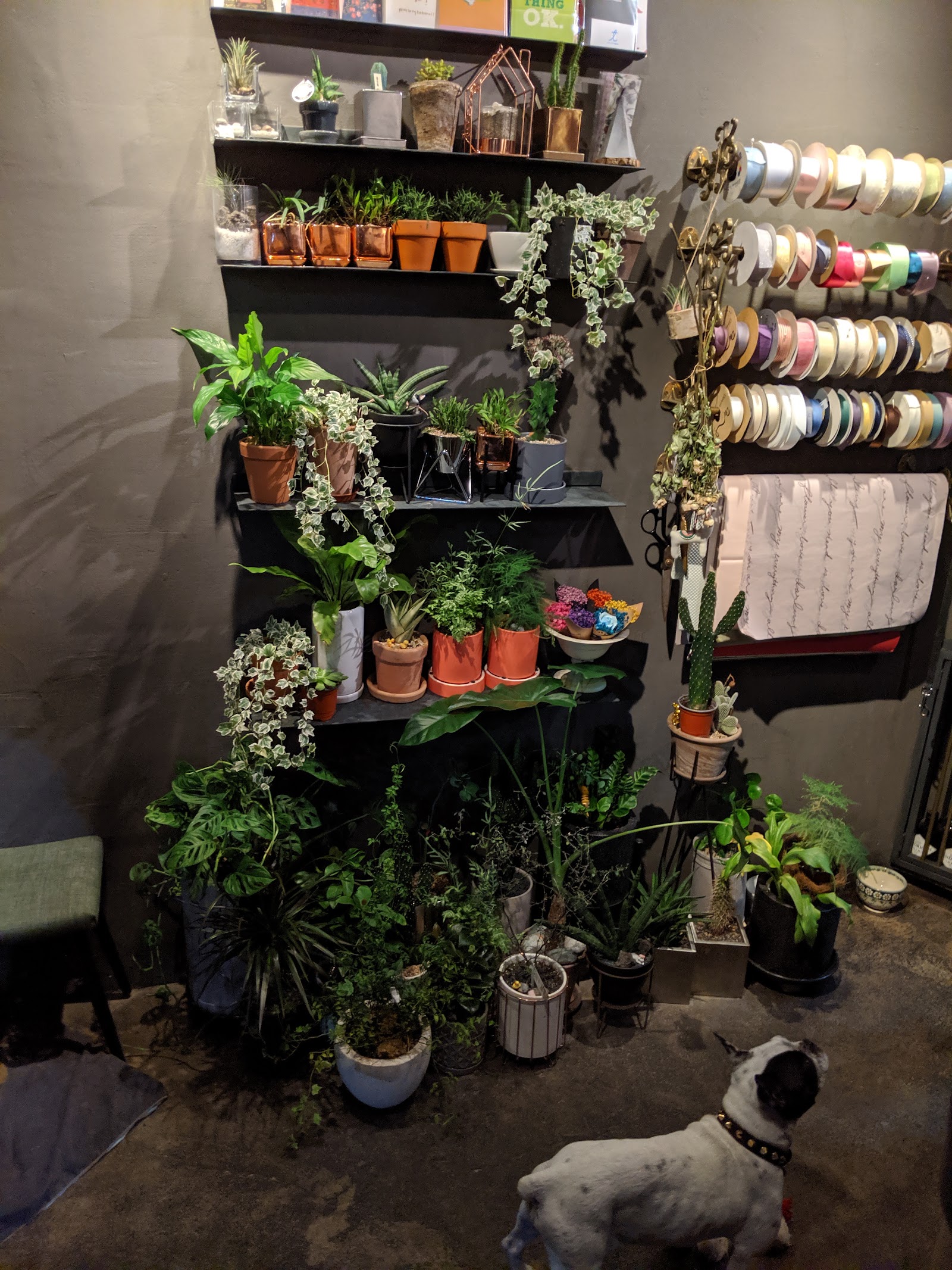 Flower Gin, Seoul