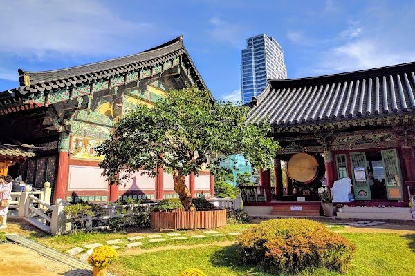 Octagon Seoul