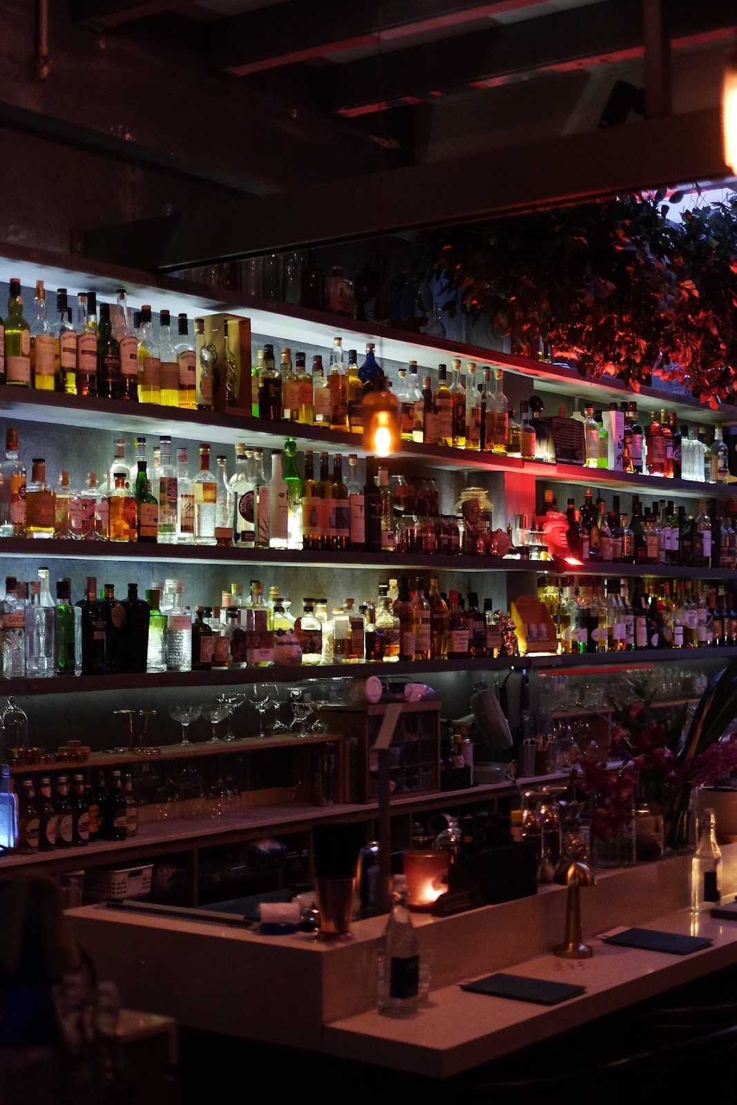 Bitters & Love bar interior