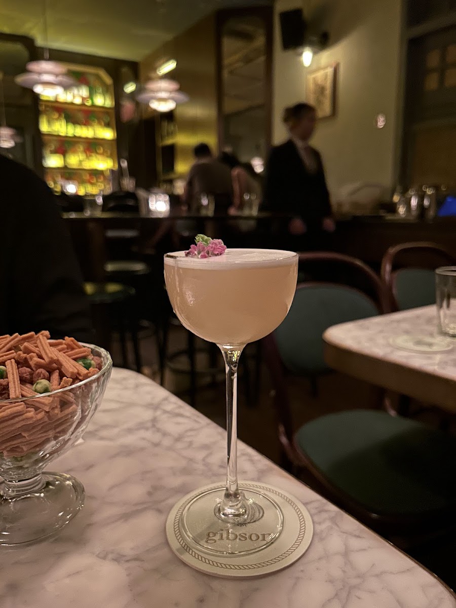 Gibson Cocktails 2