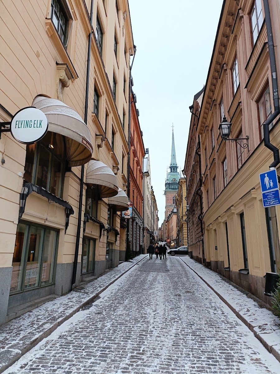 The Flying Elk Gamla Stan atmosphere