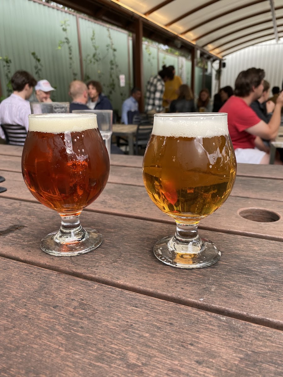 Sauce Brewing Co, Sydney