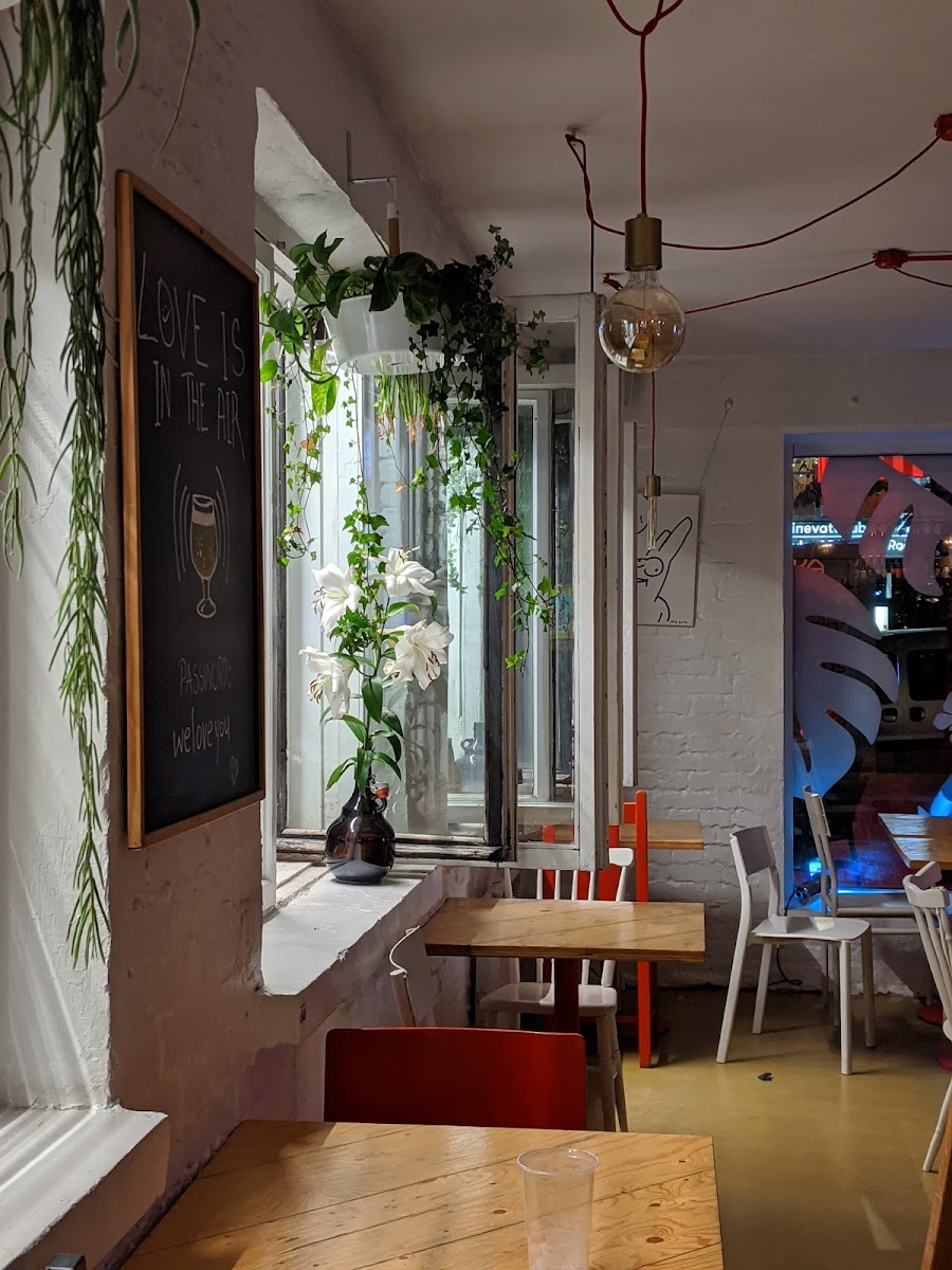 Pudel Baar, Tallinn