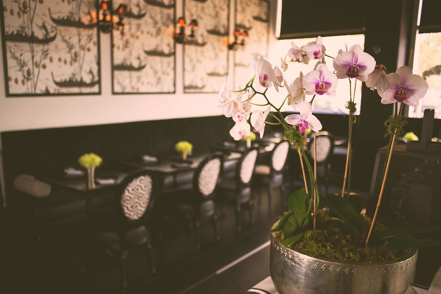 Anise, Tampa