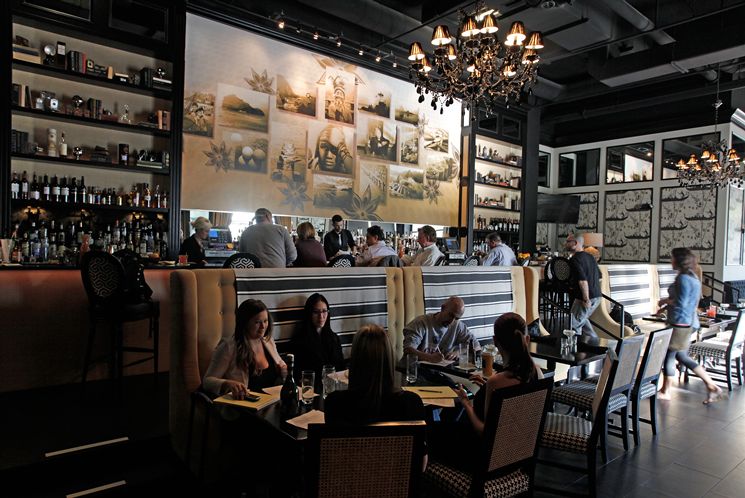 Anise, Tampa