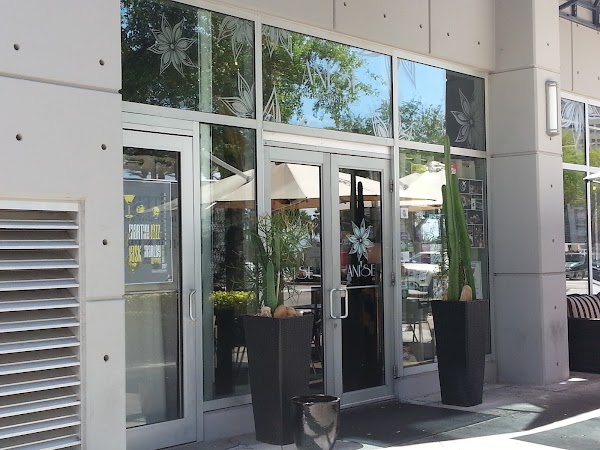 Anise in Tampa