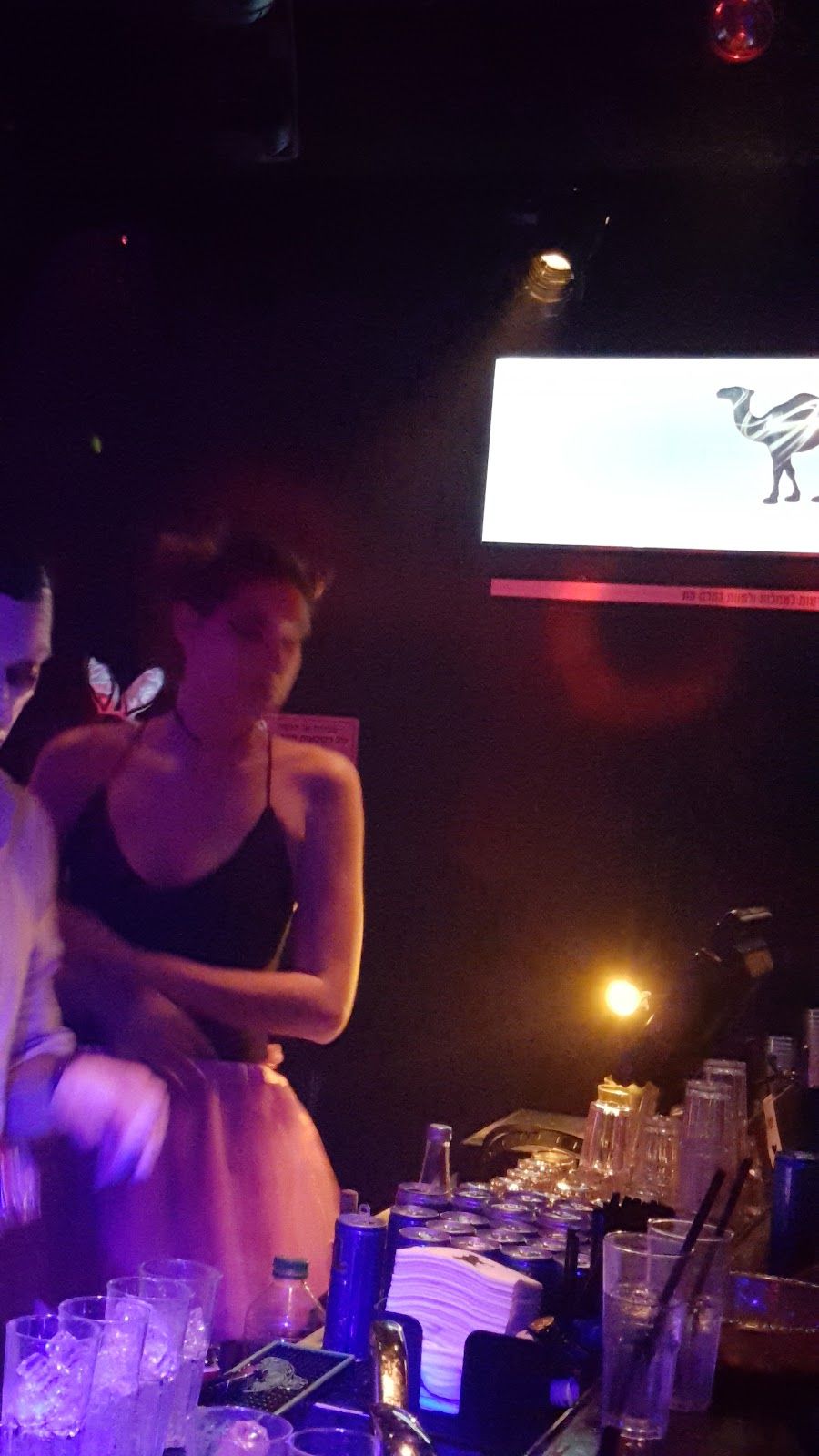 The Cat and The Dog cocktail at the bar