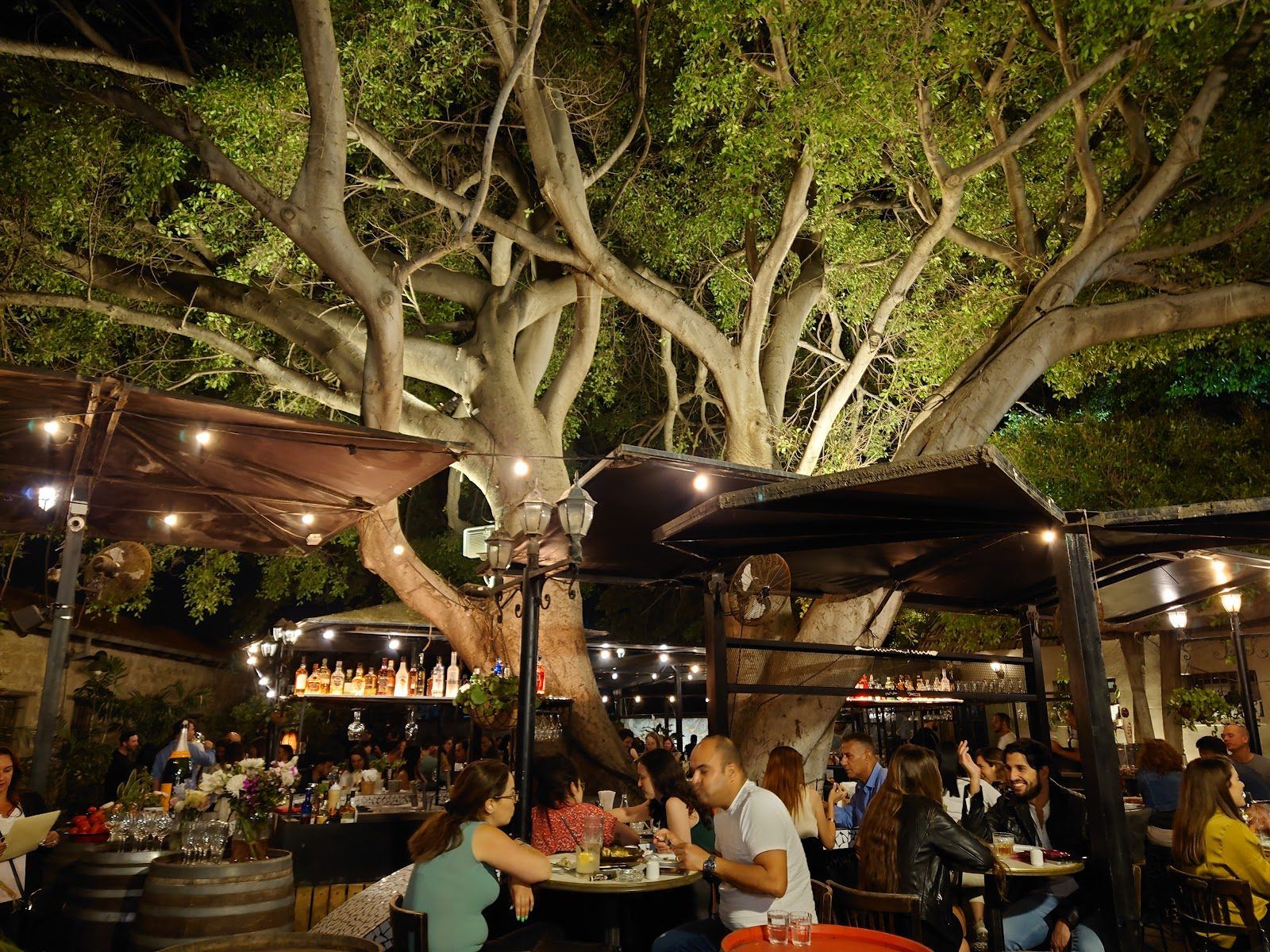 The Secret Tel Aviv bar interior