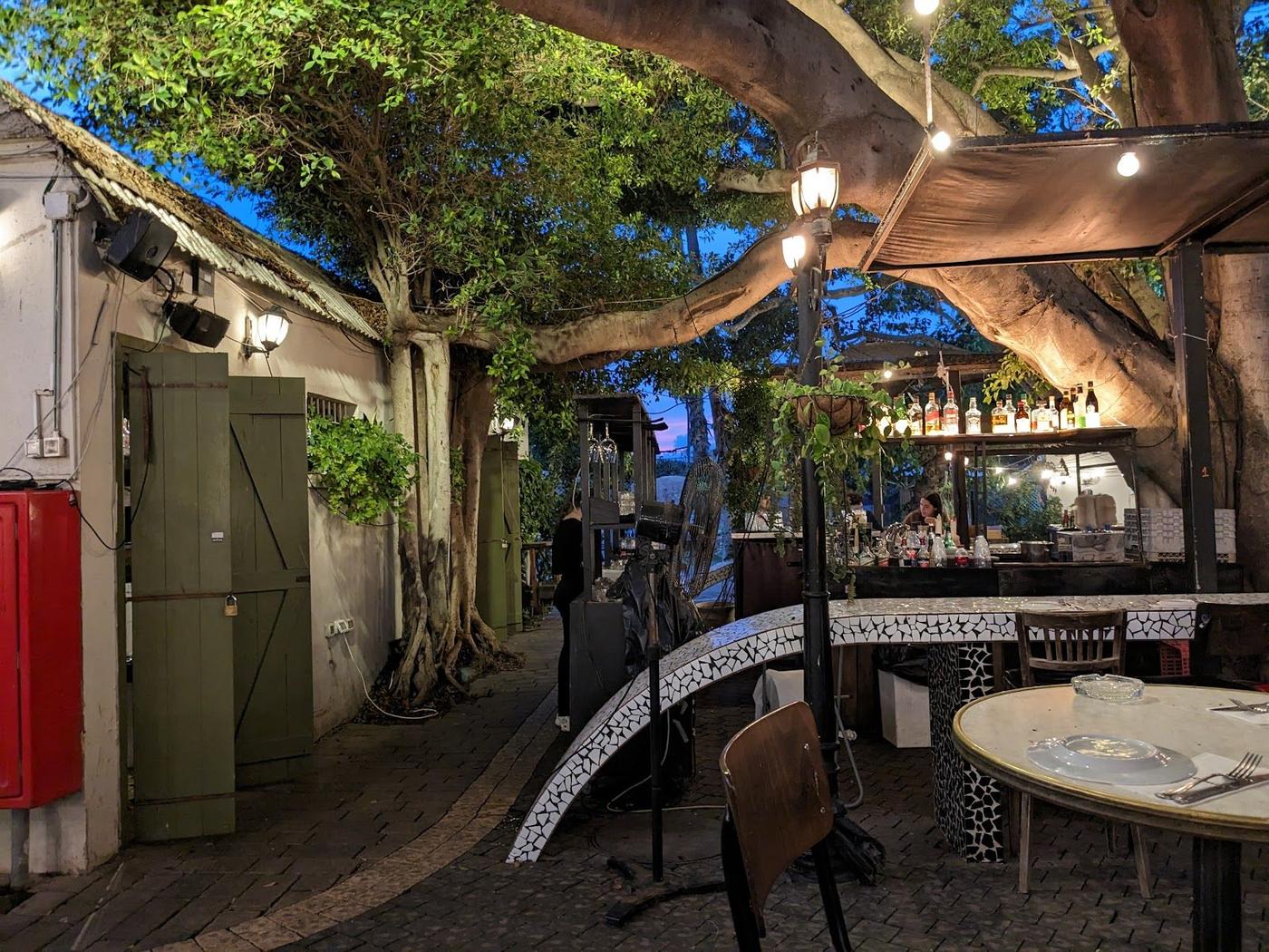 Vicky Cristina, Tel Aviv