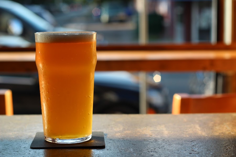 Wenona Craft Beer Lodge cottage-themed craft beer bar on Bloor Street West, Toronto interior