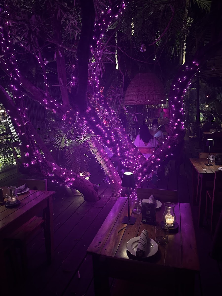 Gitano, Tulum