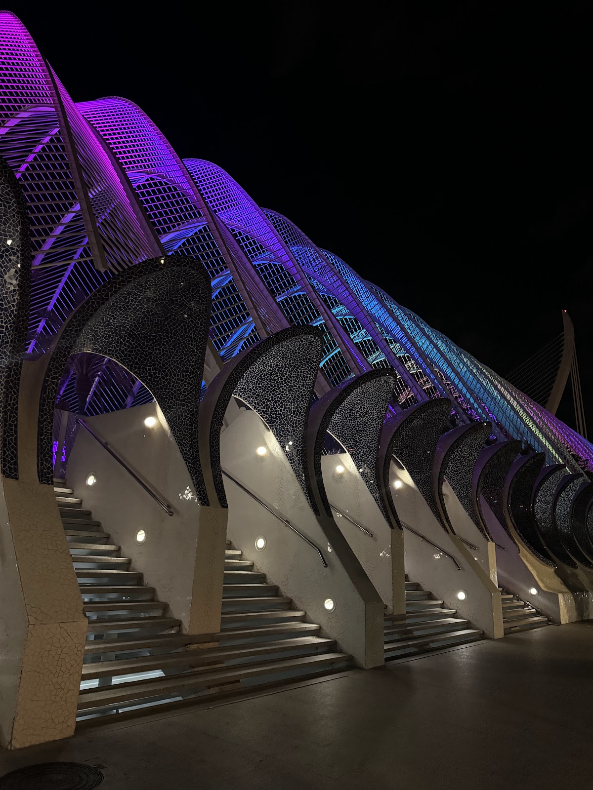 L'Umbracle Terraza night crowd