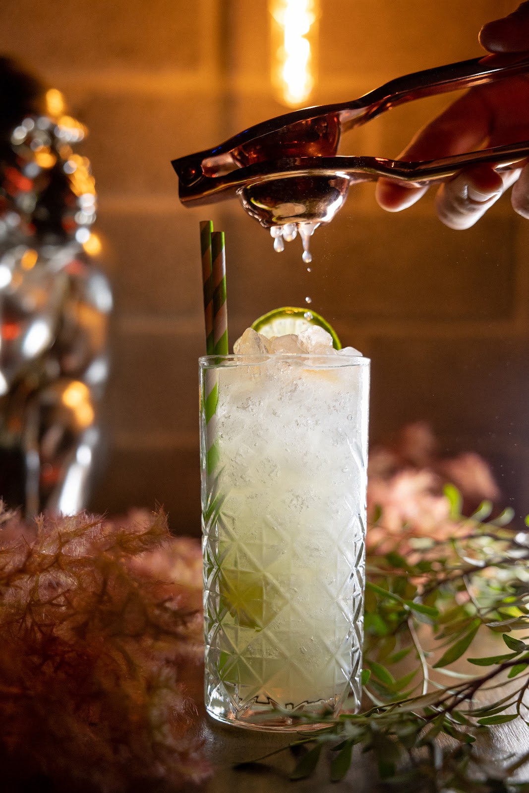 The Jungle Valencia cocktail with tropical garnish in low light