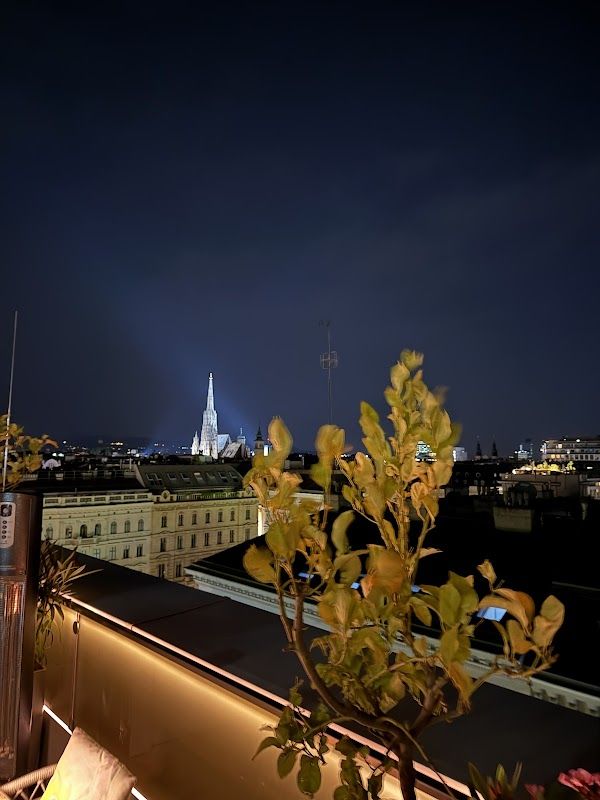 Das Loft Vienna
