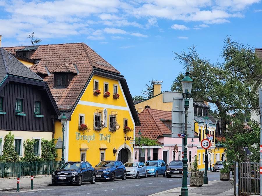 Der Wein Wolf, Vienna