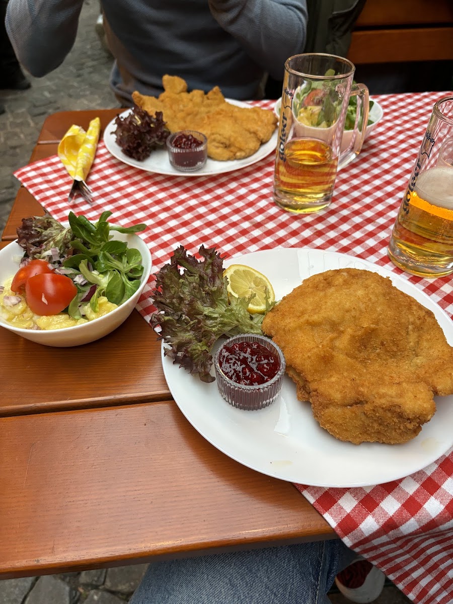 Der Wein Wolf, Vienna