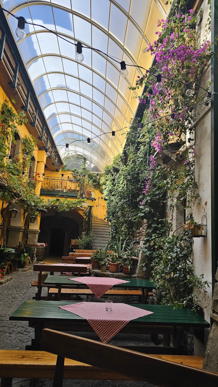 Der Wein Wolf, Vienna