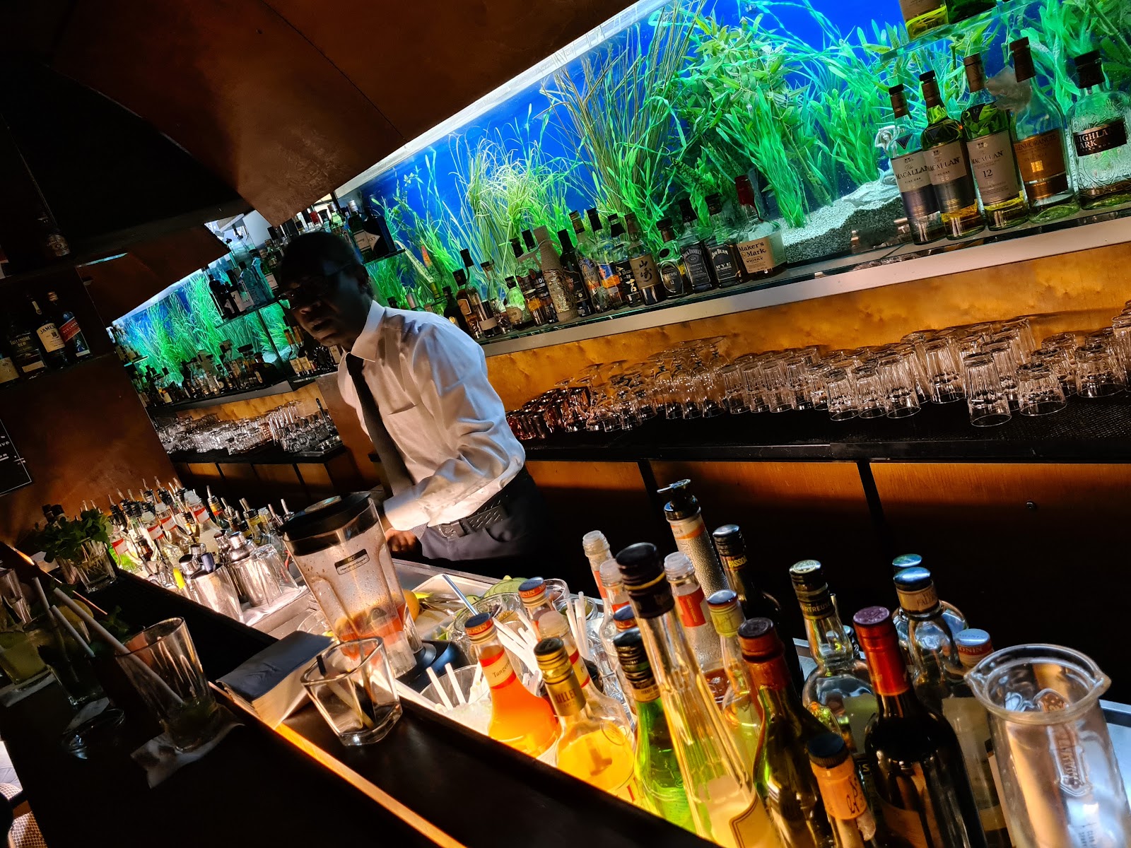 The aquarium wall and bar at First Floor in the Bermuda Triangle Vienna