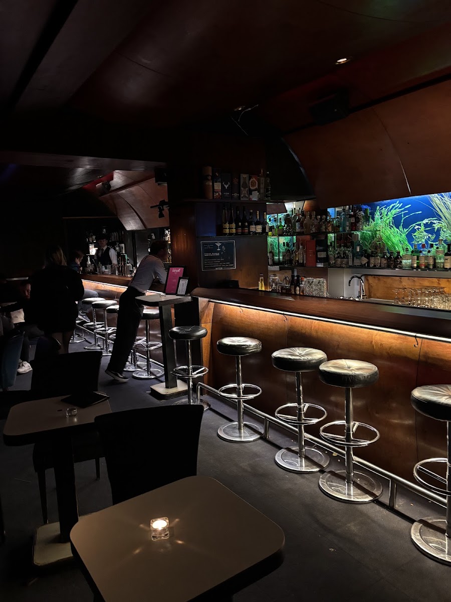The teak bar and aquarium at First Floor on Seitenstettengasse Vienna
