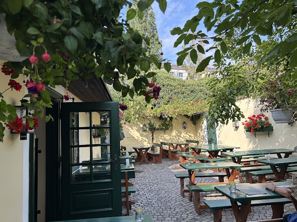 Der Wein-Wolf in Vienna