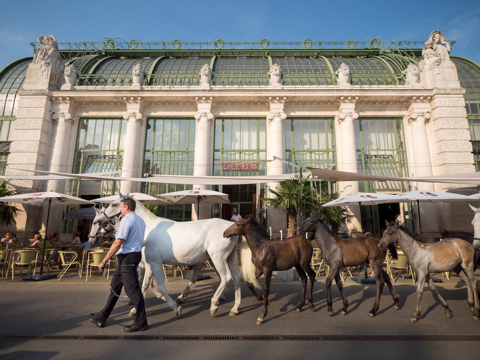 Palmenhaus, Vienna