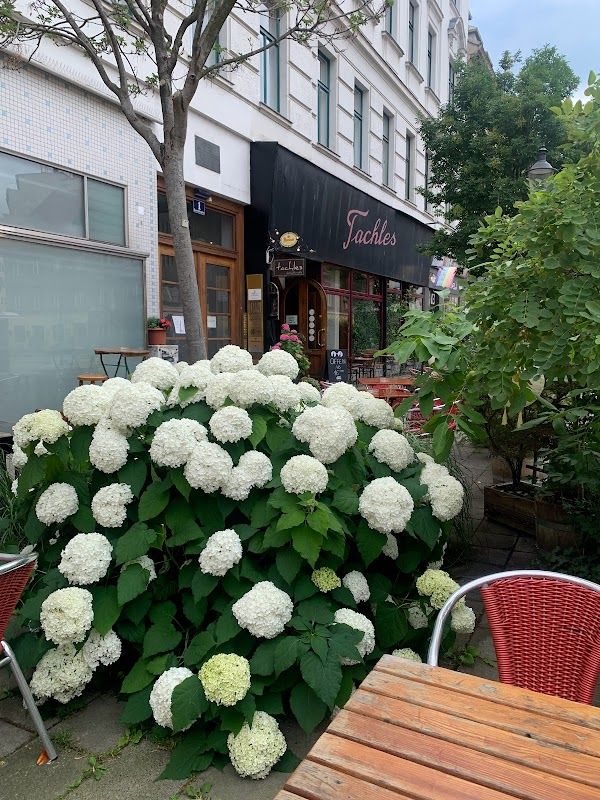 Cafe Landtmann Vienna