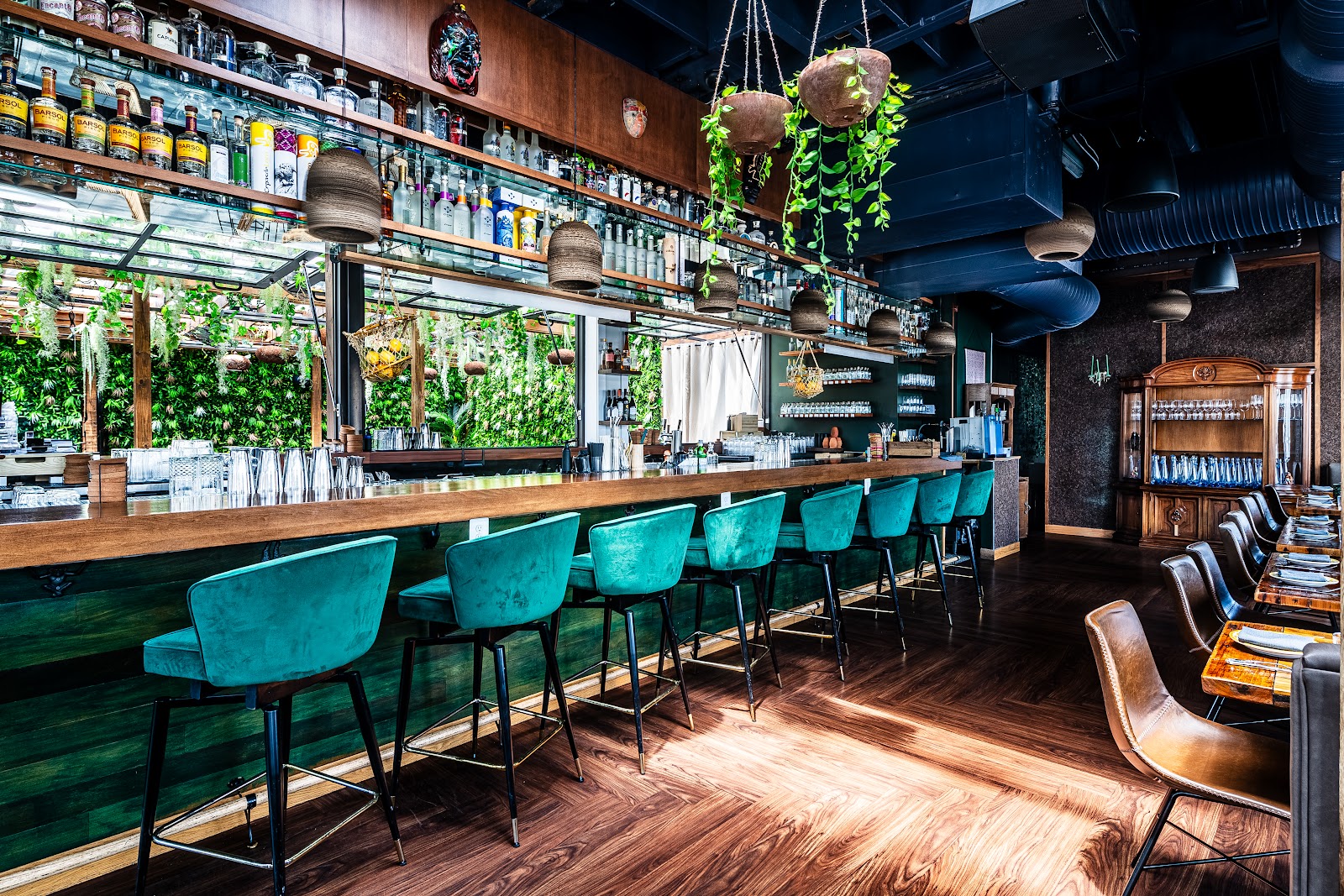 Amazonia cocktail bar in Washington DC