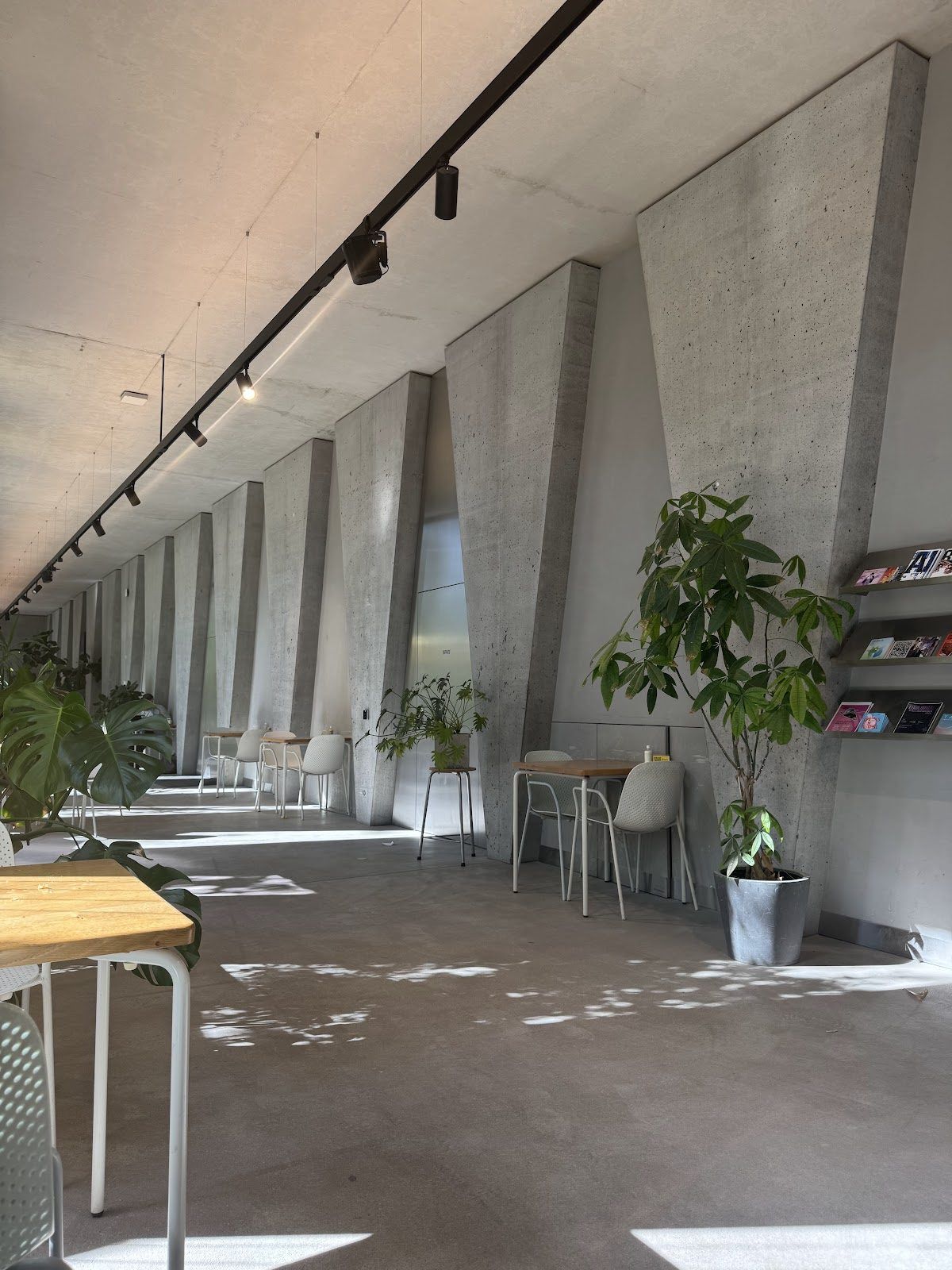 Das Haus Bar, Zurich