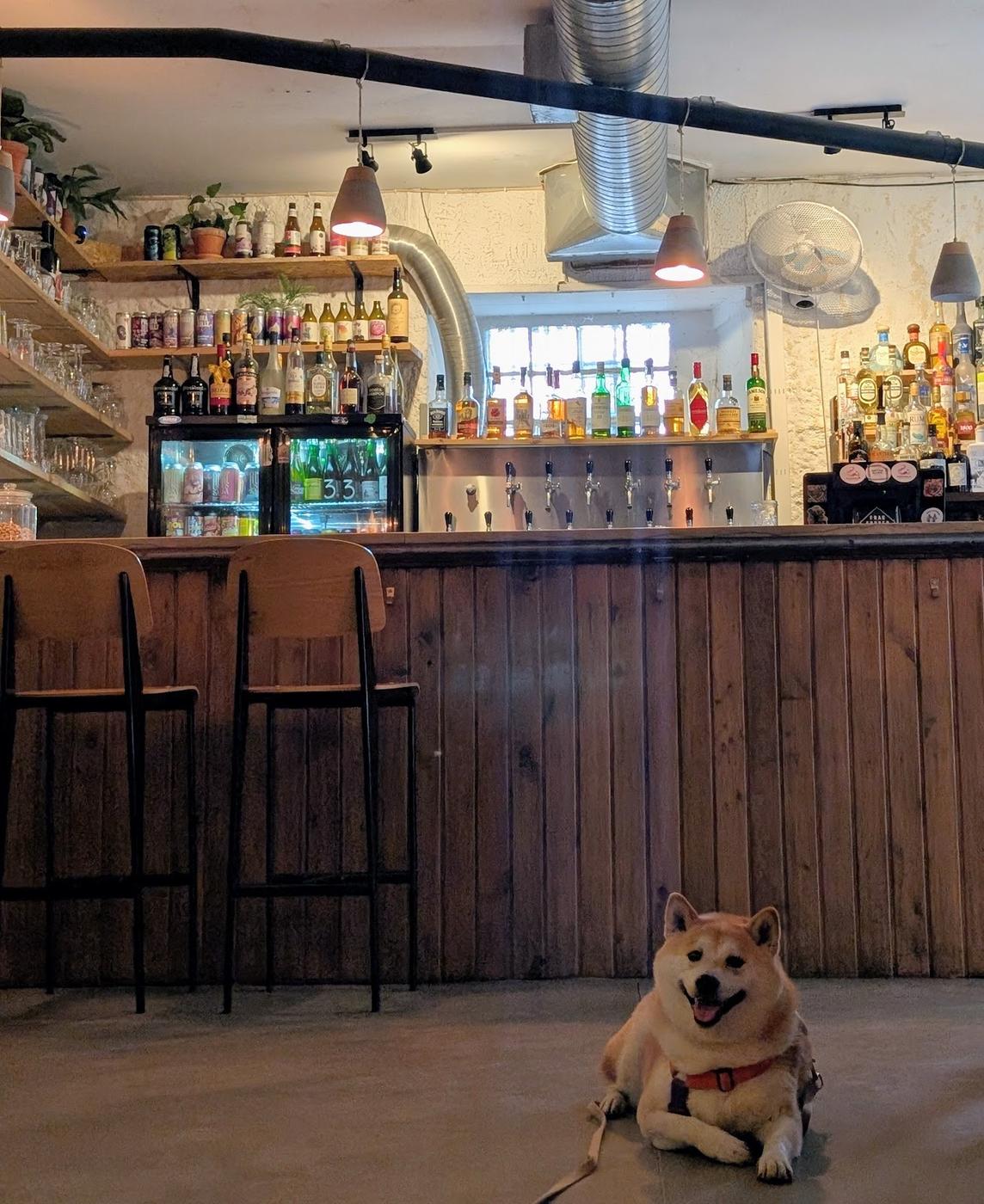 Beer taps on a bar counter in a taproom